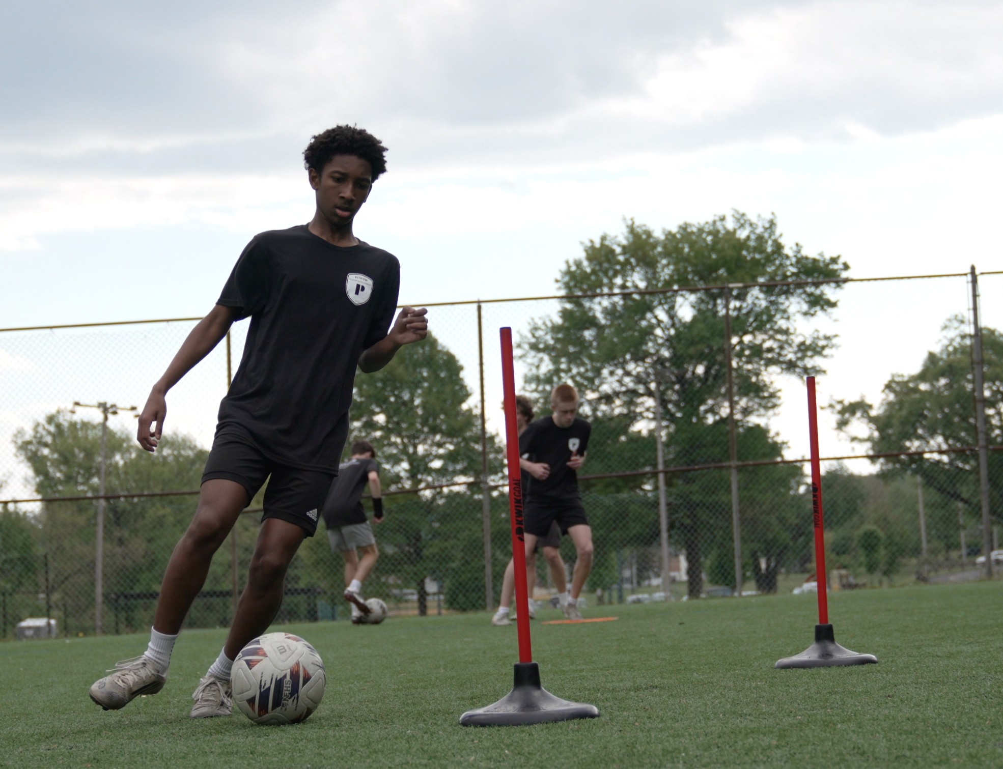 Pitkow training