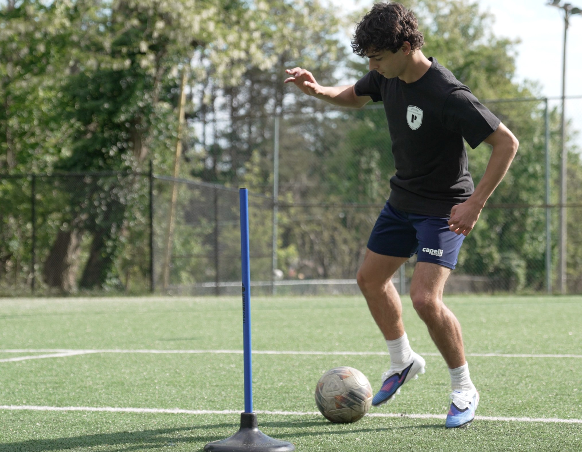 Pitkow training